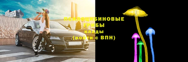 стафф Семикаракорск